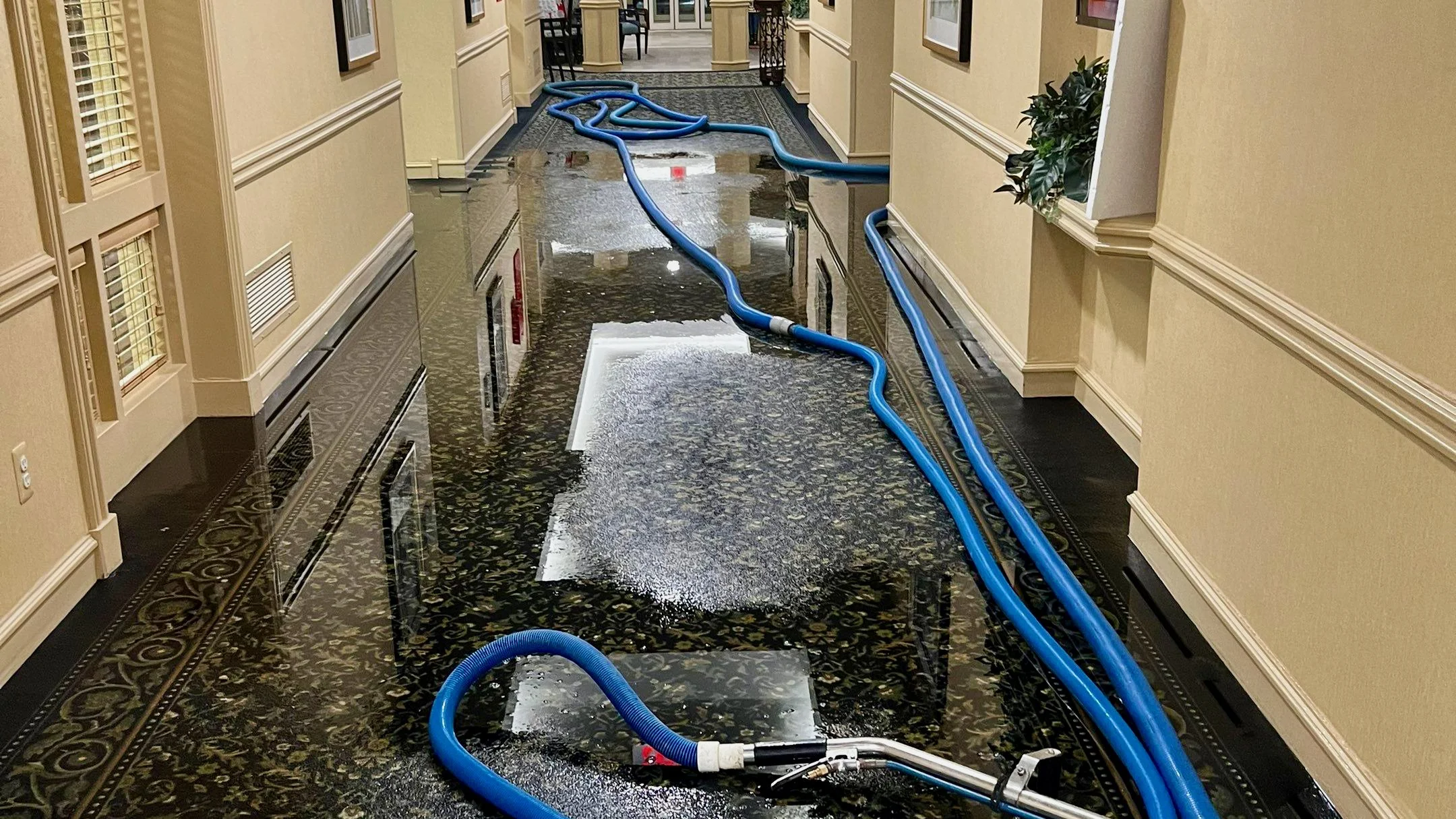 Water damage restoration service area across Anaheim, CA