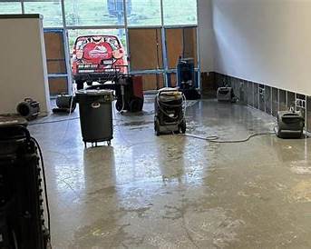 Mold remediation and prevention in Anaheim